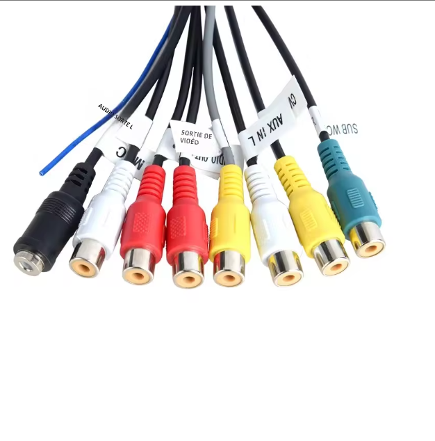 Fiche RCA – Connexion micro, accessoires, audio & vidéo